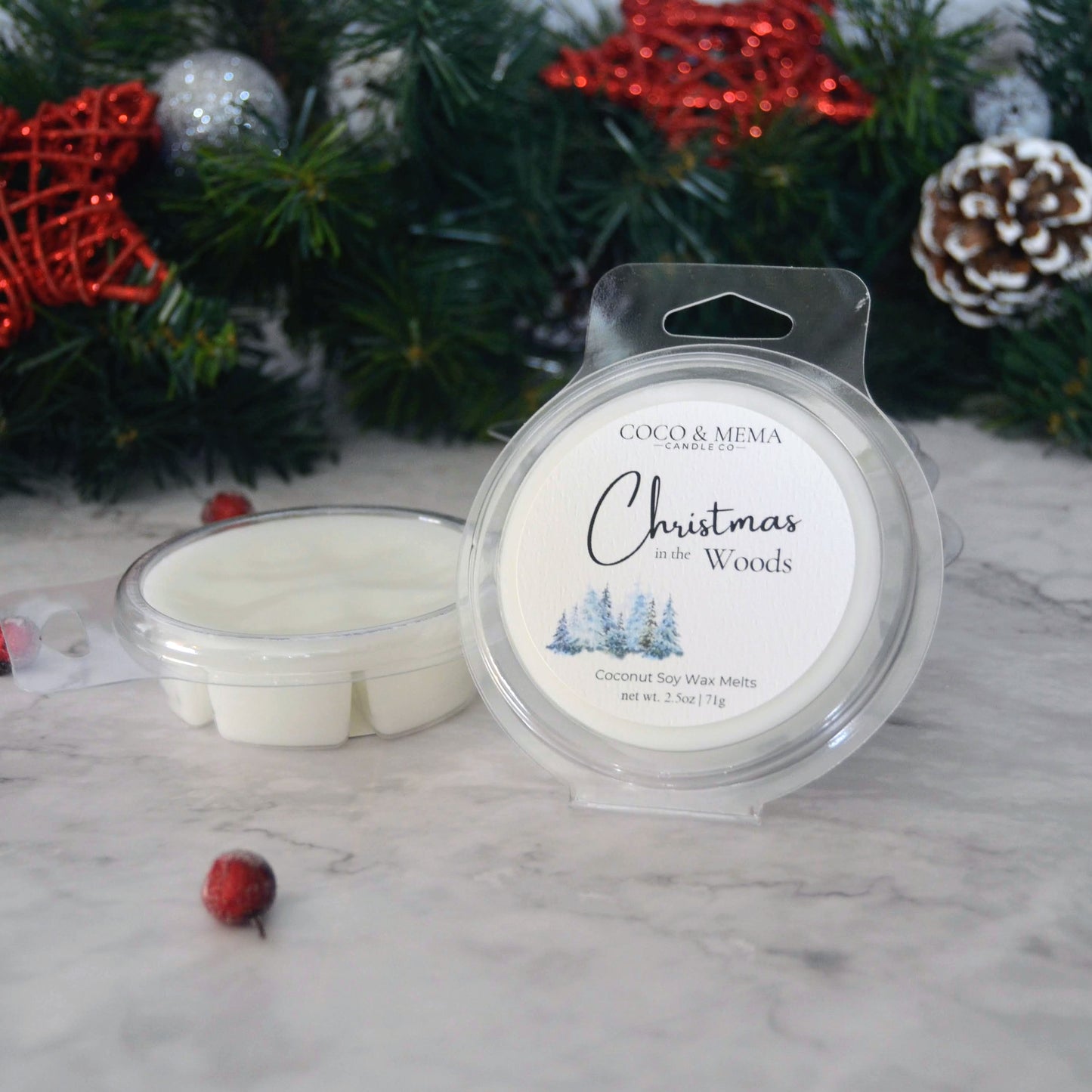 Christmas in the Woods