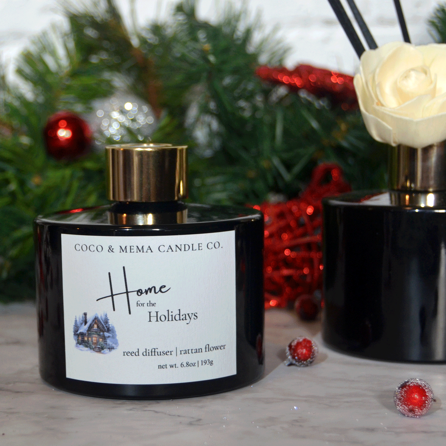 Home for the Holidays